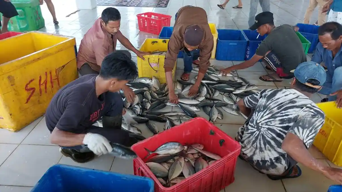 Monitoring Pembongkaran Ikan di Desa Warloka Pesisir.